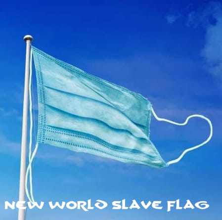 new NWO flag