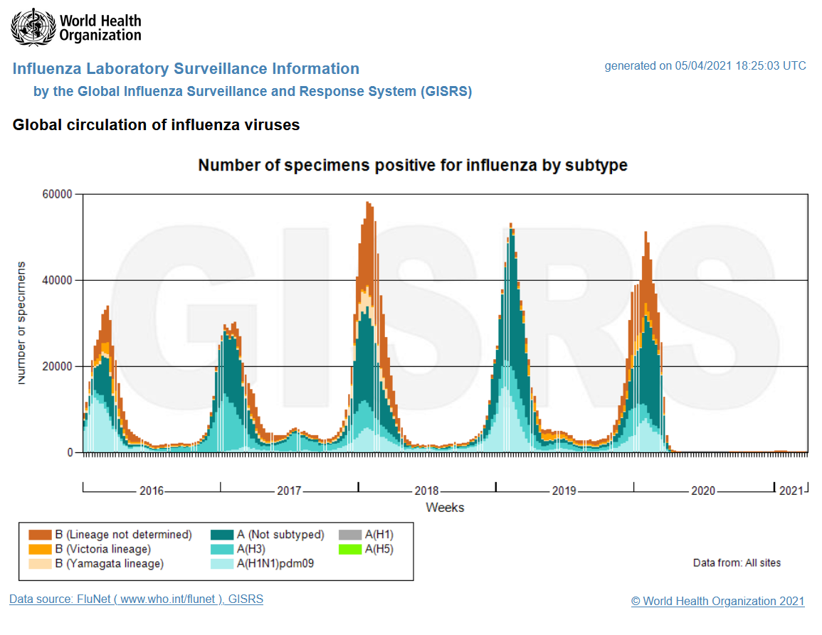 WHO influenza prevalence