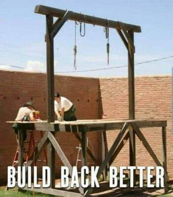 Build Back
                          Better